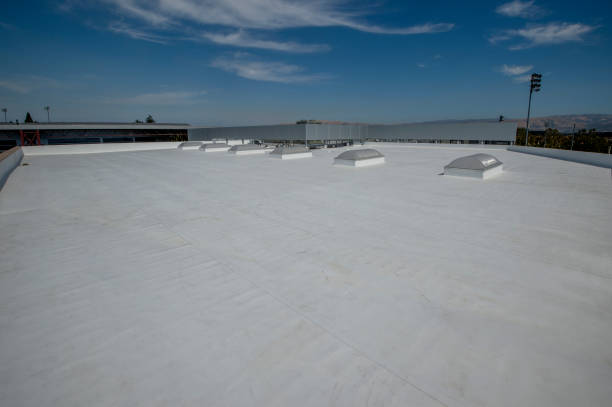 Best Gutter Installation and Repair  in Cairo, NE