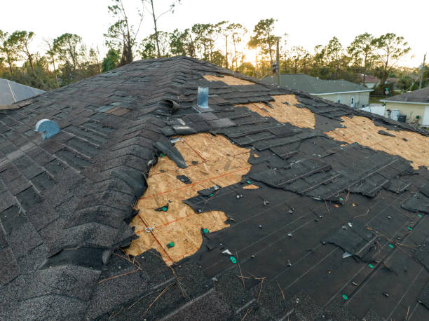 Best Roofing for New Construction  in Cairo, NE