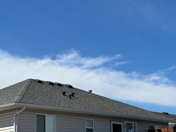 Best Flat Roofing  in Cairo, NE